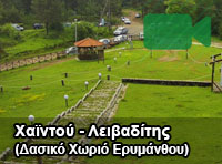 Live camera: Δασικό Χωριό Ερυμάνθου