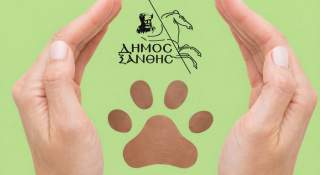 Ενημέρωση για τις βεβαιωθείσες παραβάσεις του Ν. 4830/2021 περί ζώων συντροφιάς για το έτος 2025