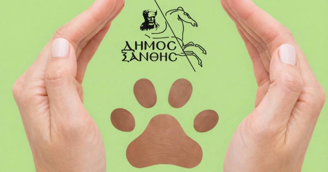 Ενημέρωση για τις βεβαιωθείσες παραβάσεις του Ν. 4830/2021 περί ζώων συντροφιάς για το έτος 2025